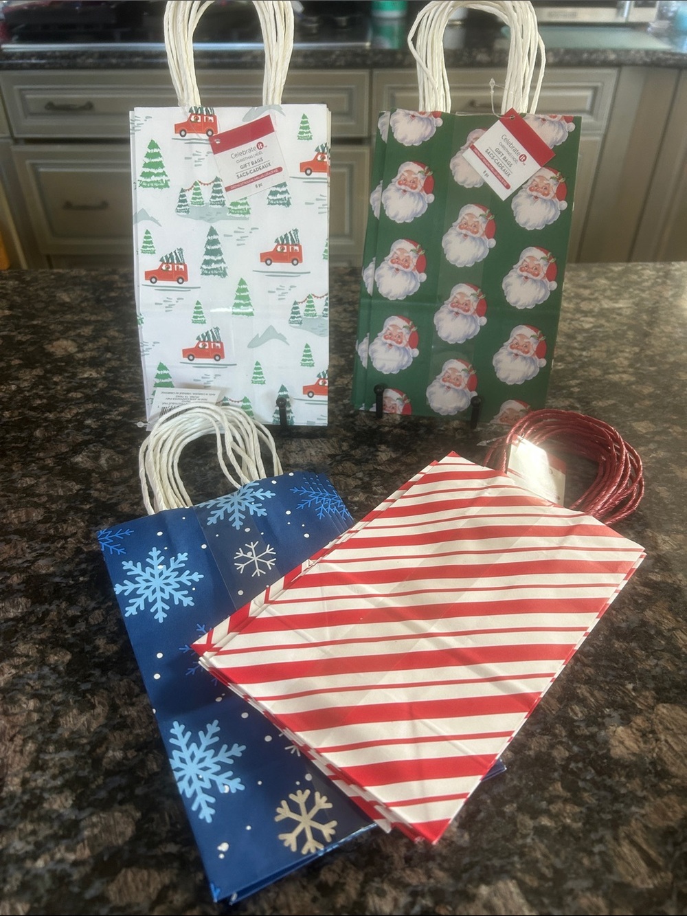 CELEBRATE IT CHRISTMAS BAGS 24 NWT